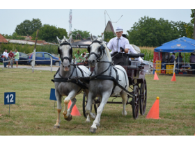 Jubilarna pećinačka Fijakerijada